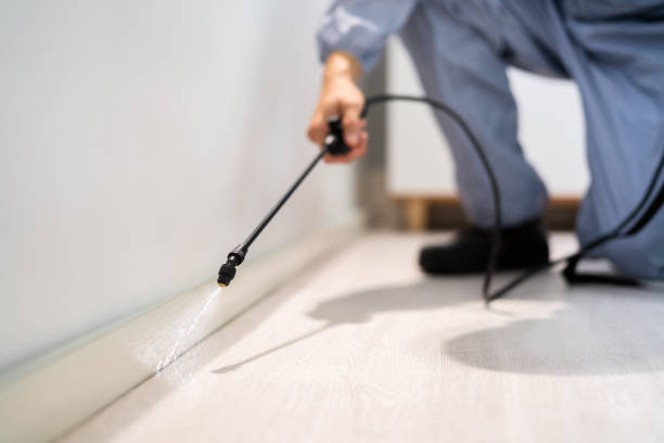 Bed Bug Pre-Treatment Preparation Assessment in Urbana