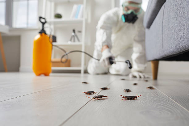Post-Treatment Bed Bug Interceptor Monitoring in Urbana